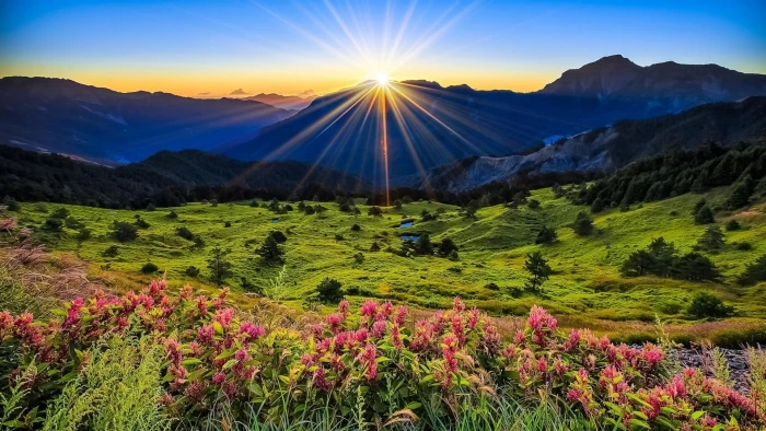 Mountains meadow sunrise flowers beautiful scenery 2k