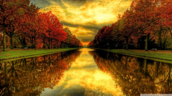 nature autumn Water sky tree fall desktop 2k