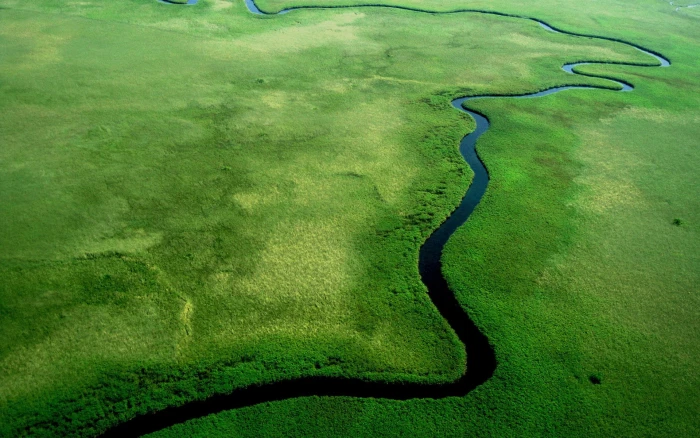 river nature aerial view green 2k