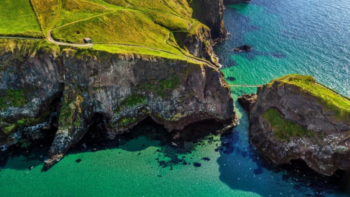 nature green light plant color design bright pattern 2k