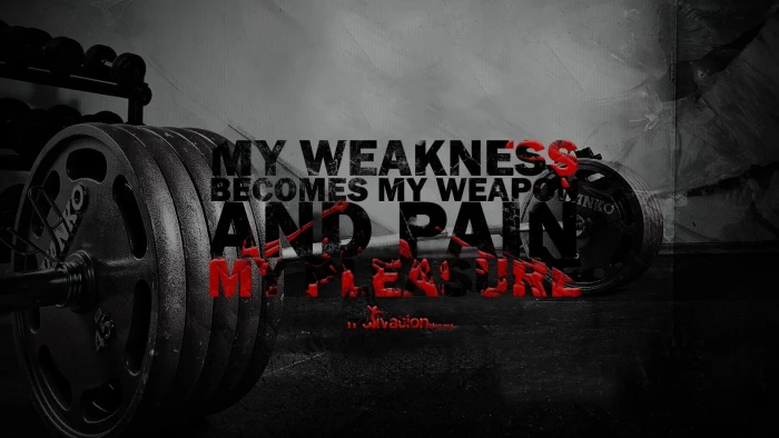 my weakness becomes weapon and pain text 84 2k