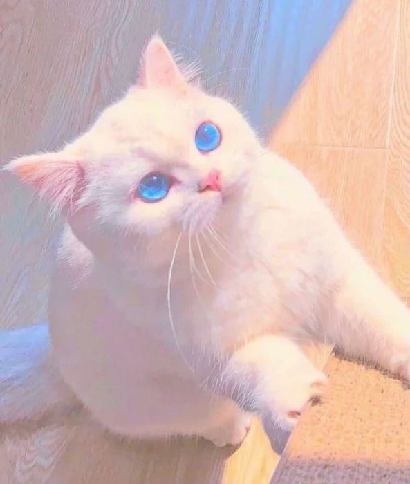 Cute