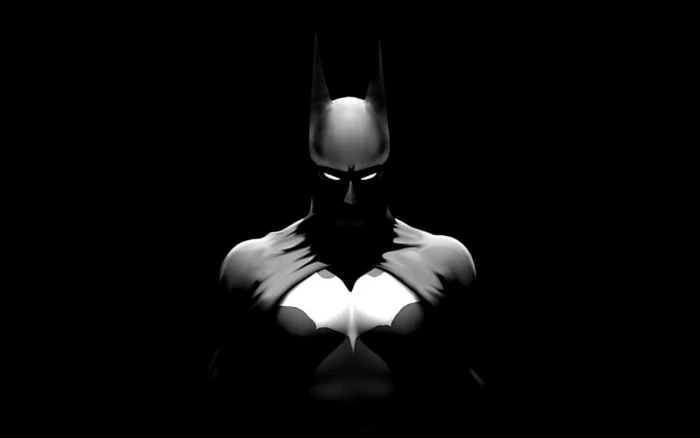 Batman vector art superhero dark artwork studio shot indoors
