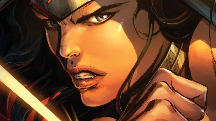 Look Face Hero Comic Wonder Woman Superhero DC Comics 2k
