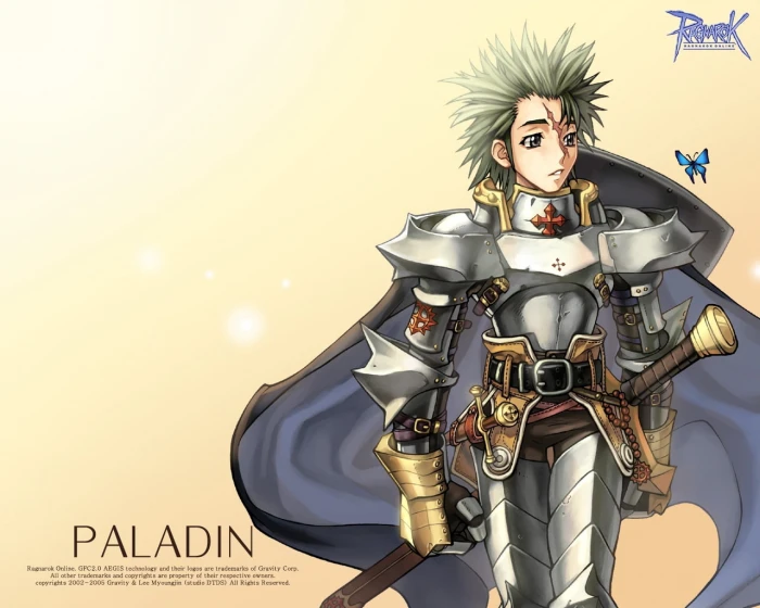 Ragnarok Paladin character wallpaper ragnarok online guy armor