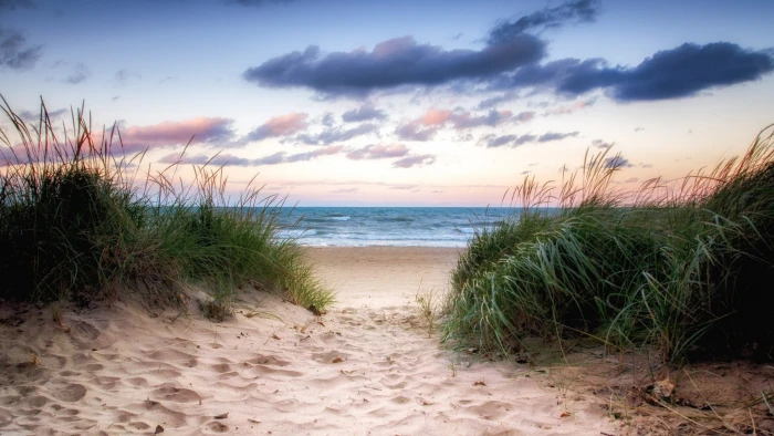 Earth Beach Grass Horizon Ocean Path Sand Sea 2k