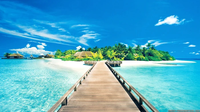 palm trees sky tropical water island clouds sea beach 2k