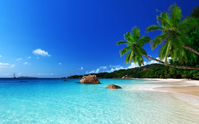 Tropical Paradise Beach Ocean Sea Palm Summer Coast 2k