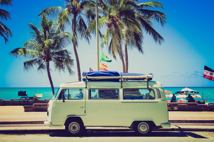 car combi palm tree tropical climate sea sky water transportation 2k