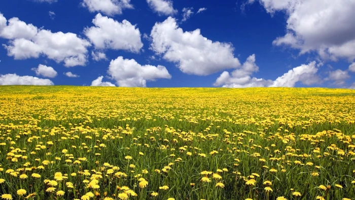 for desktop nature scenes beautiful scenery cloud sky 2k