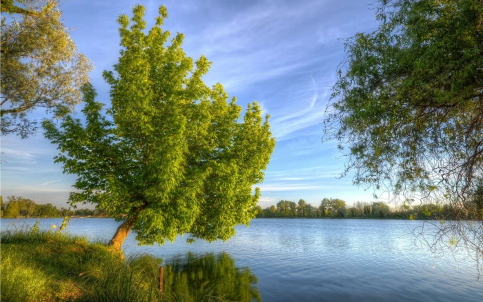 green trees near body of water painting nature landscape lake 2k