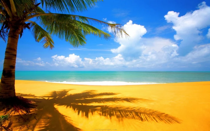 Hawaii Beach Hd Wallpaper 2k