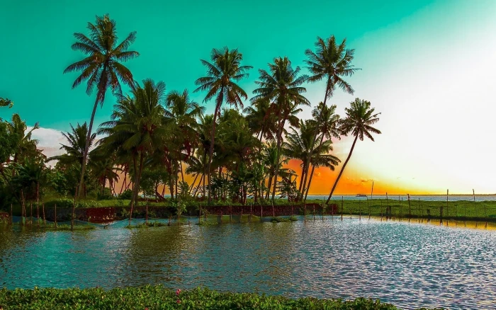 landscape nature palm trees beach sea water sunset tropical 2k