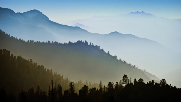 trees on mountain at daytime yosemite wallpaper 2k 4k 5k