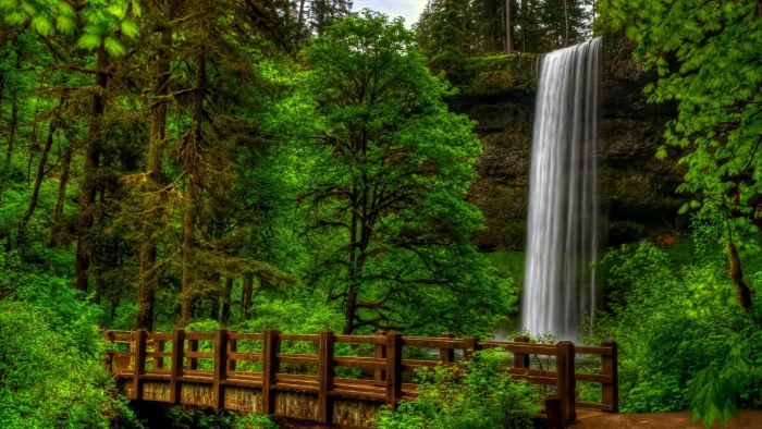 Waterfall in green forest Nature view trees park bridge 2k