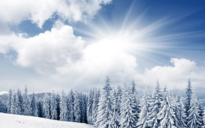 Bright Winter Day snowy field scenery trees forest clouds 2k