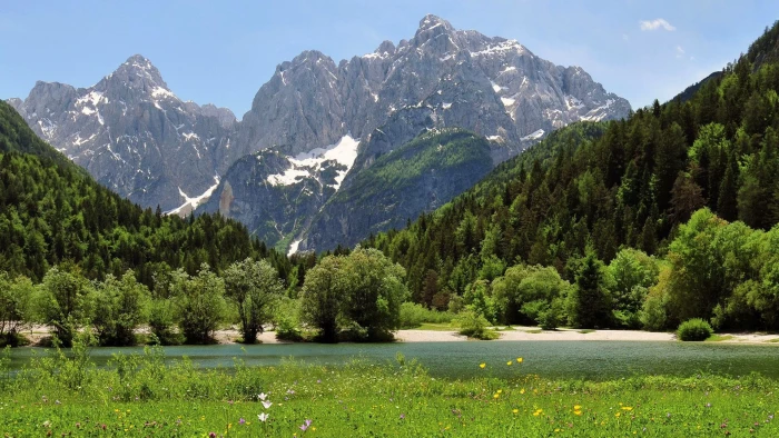 for desktop nature scenes beautiful scenery plant 2k