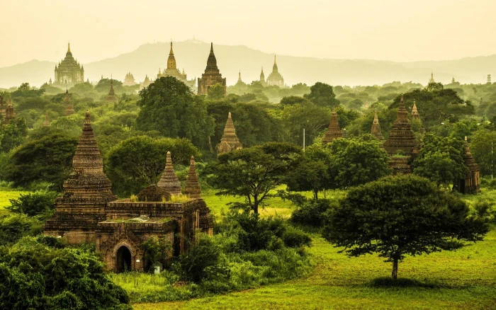 green leafed tree nature landscape Myanmar temple monastery 2k