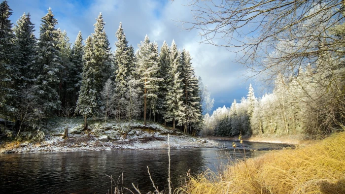 river and green trees nature forest snow winter landscape 2k