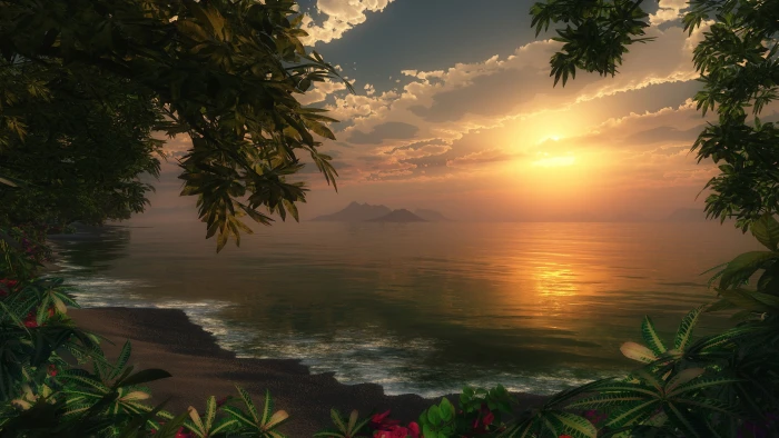 widescreen nature water sunset plant beauty in 2k
