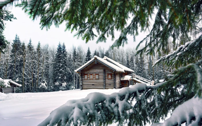 background nature image snow winter cold temperature 2k