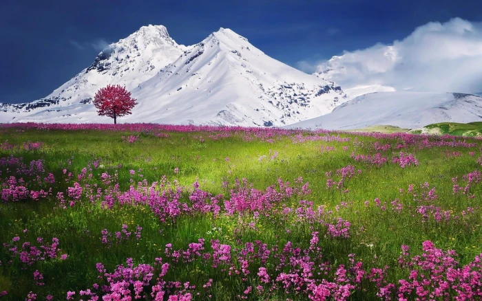 beautiful mountains scenery snow 2k