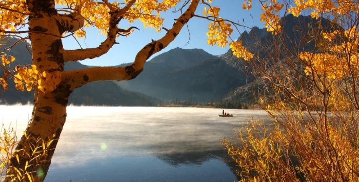 green leafed tree fall lake mountains nature forest trees 2k