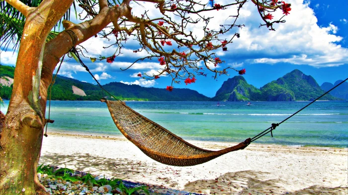 Hammock Tropical Beach Trees Ocean HD nature 2k
