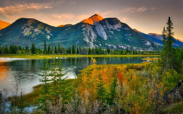 Natural Beauties Canada Landscape Rocky Mountains Pine Forest River Hd Wallpaper High Contrast 2k