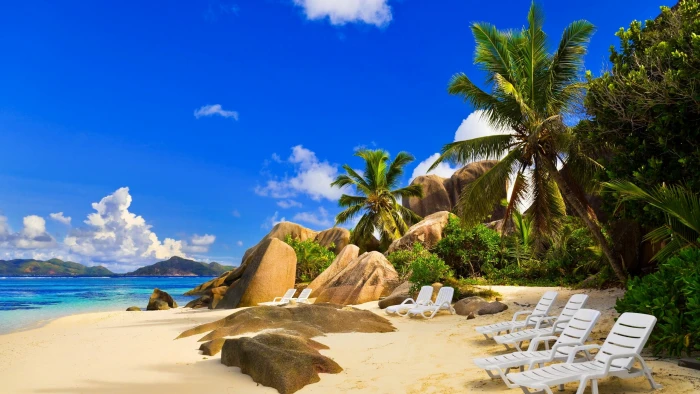 painting of beach shore tropical palm trees land water sea 2k