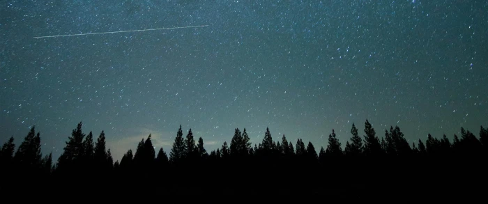 trees and stars ultrawide landscape nature photography astronomy 2k