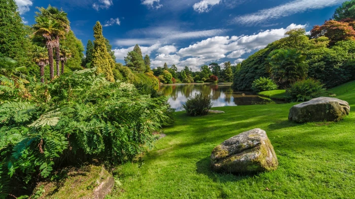 two rocks and leafed plants beside body of water nature trees 2k