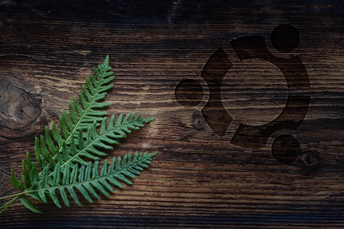 Ubuntu wood leaves table nature Linux 2k