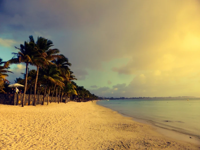 white sand beach with palm trees under and blue cloudy sky during daytime 2k