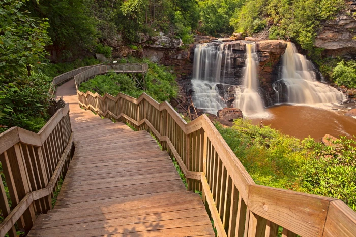brown wooden stairway near water falls blackwater 2k