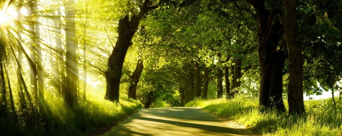 Green Nature Dual Monitor 2k