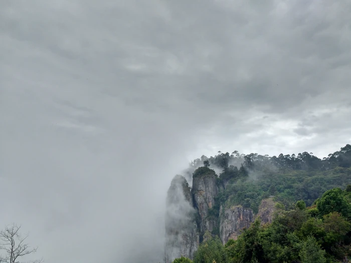 kodaikanal rock pillars nature tree cloud sky plant 2k 4k