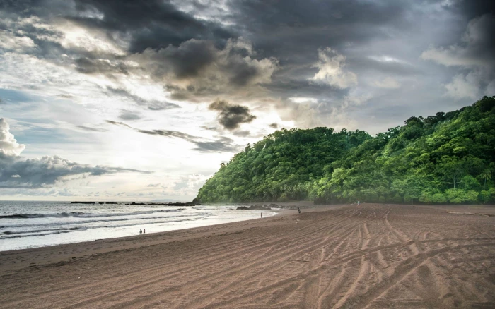 nature forest beach sky land cloud sand sea water 2k