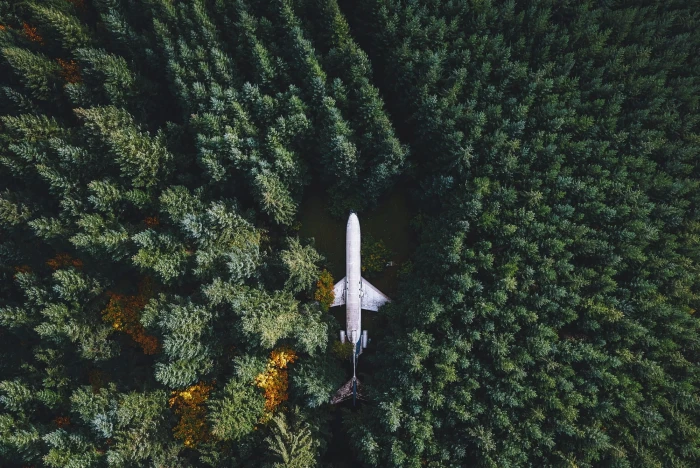 white plane nature landscape airplane wreck forest trees 2k