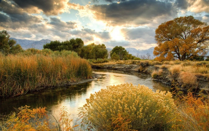 Autumn scenery nature yellow grass river trees clouds 2k