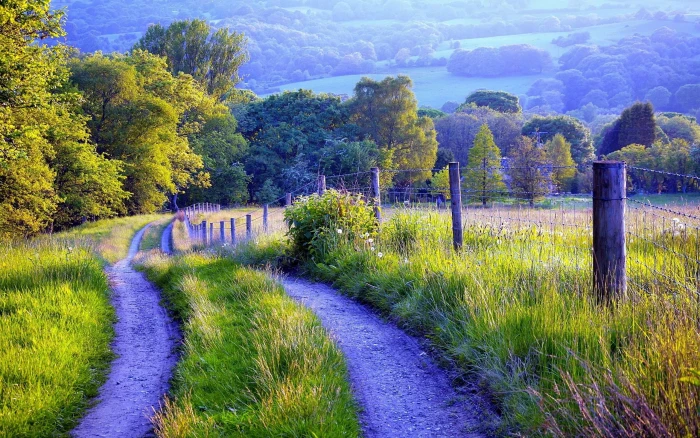 Nature scenery fence road grass trees 2k