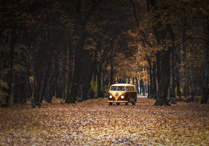white and brown Volkswagen Type 2 Edit vw bus euro german 2k 4k