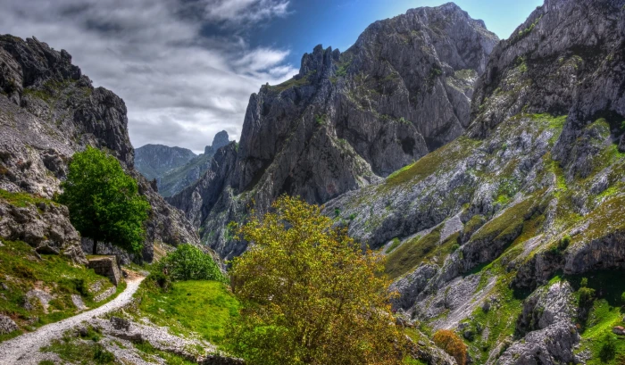 green grass covered rock mountain under blue sky Ruta del Cares 2k