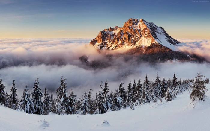 mountains forest fog snow winter 2k
