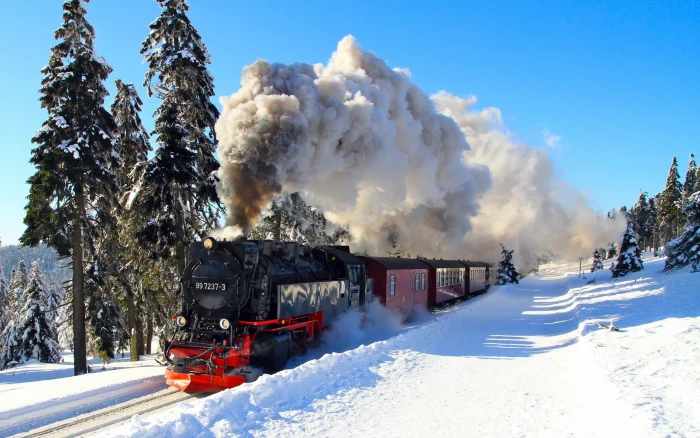 nature winter snow shadow train steam locomotive trees 2k