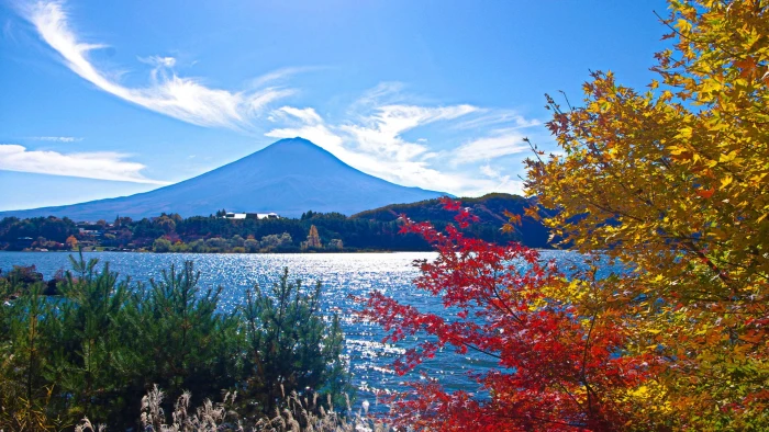 beautiful natural mountain scenics nature plant beauty in 2k