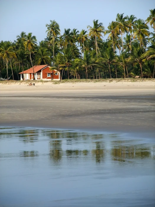 goa beach house sea blue sky sand tree water palm 2k