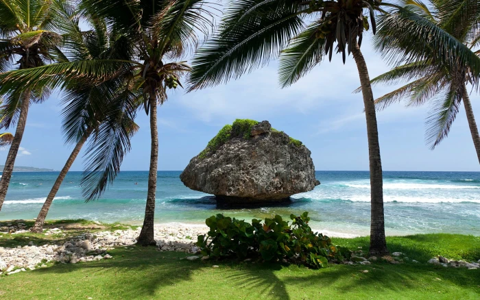 nature sea coast beach clouds palm trees rock tropical 2k