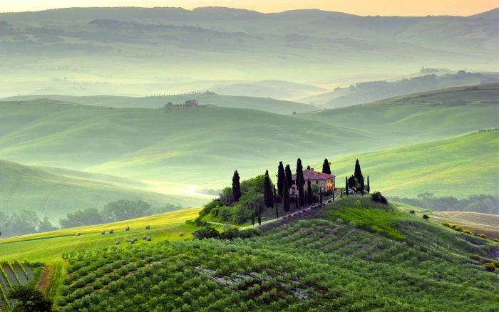 Pienza Tuscany Italy spring scenery fields trees morning fog green 2k