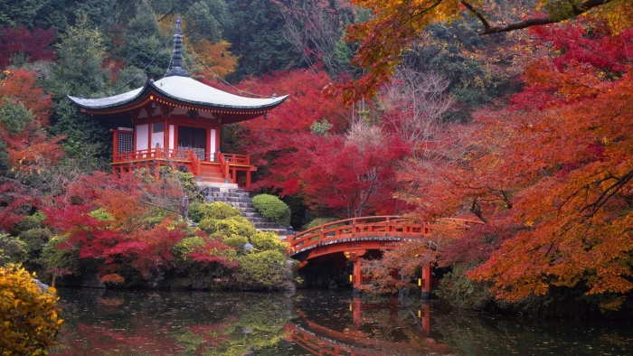 Temples Daigo ji Bridge Building Fall Japan Japanese Garden 2k